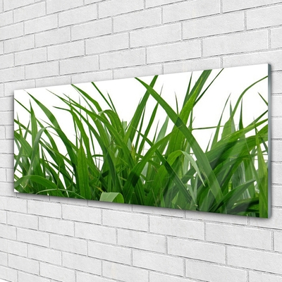Quadro acrílico Natureza da planta grama