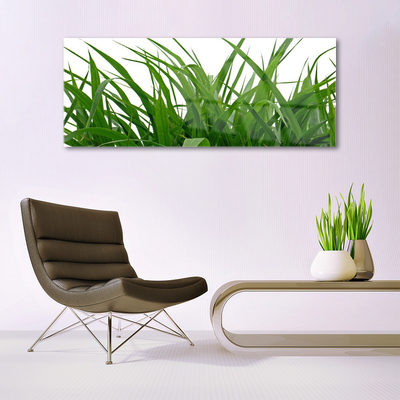 Quadro acrílico Natureza da planta grama