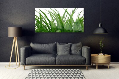 Quadro acrílico Natureza da planta grama