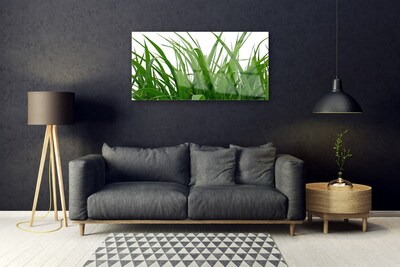 Quadro acrílico Natureza da planta grama