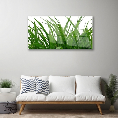 Quadro acrílico Natureza da planta grama