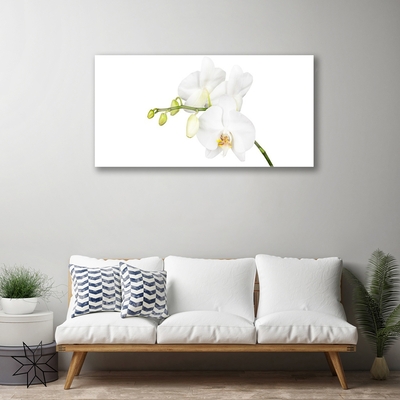 Quadro acrílico Flores de orquídeas Natureza