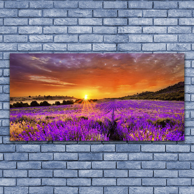 Quadro acrílico Campo de lavanda ao pôr do sol