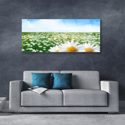 Quadro acrílico Margaridas Flores Prado Campo