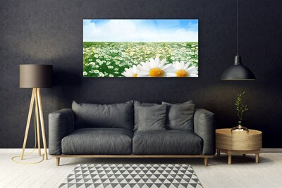 Quadro acrílico Margaridas Flores Prado Campo