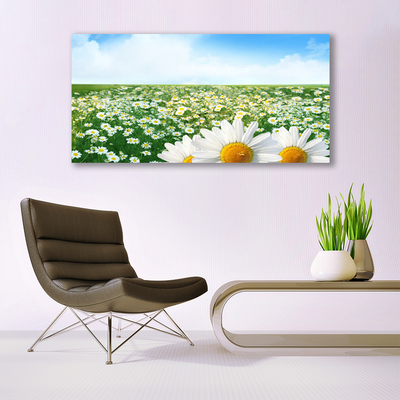 Quadro acrílico Margaridas Flores Prado Campo