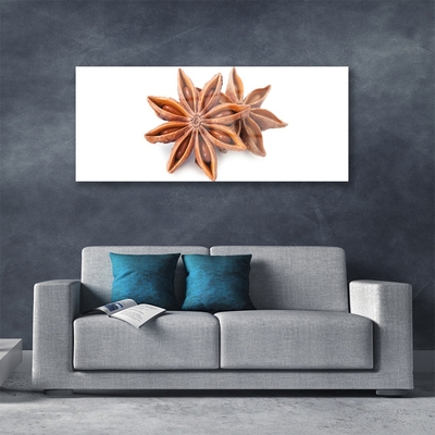 Pintura acrílica Especiarias de anis estrelado