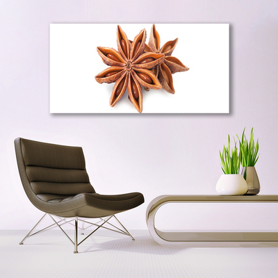 Pintura acrílica Especiarias de anis estrelado