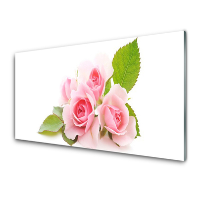 Quadro acrílico Rosas Flores Planta Natureza
