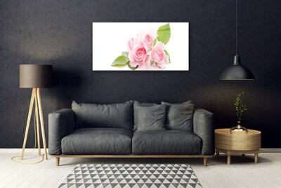 Quadro acrílico Rosas Flores Planta Natureza