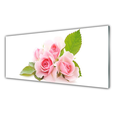 Quadro acrílico Rosas Flores Planta Natureza