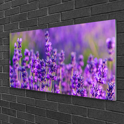 Pintura acrílica Campo de lavanda roxa