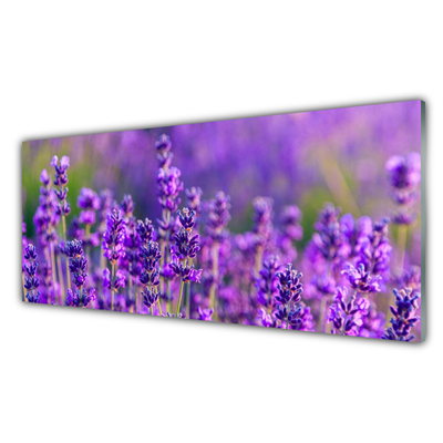 Pintura acrílica Campo de lavanda roxa