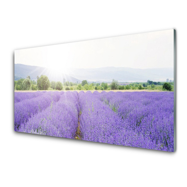Pintura acrílica Campo de Lavanda Natureza Prado