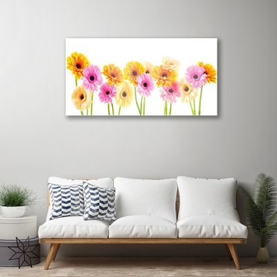 Pintura acrílica Flores Gérberas Coloridas
