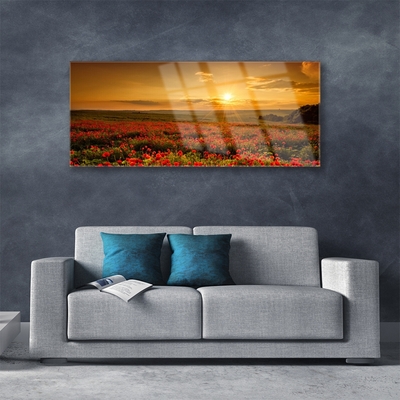 Quadro acrílico Campo de papoulas Sunset Meadow