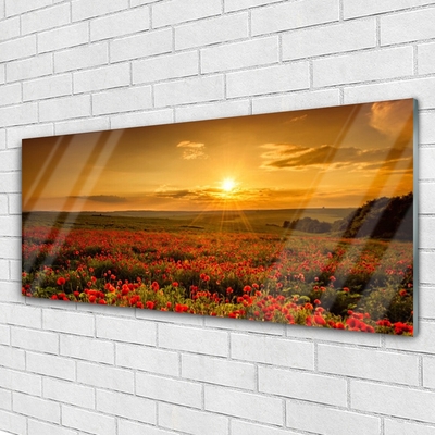 Quadro acrílico Campo de papoulas Sunset Meadow
