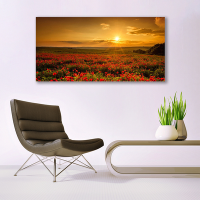 Quadro acrílico Campo de papoulas Sunset Meadow