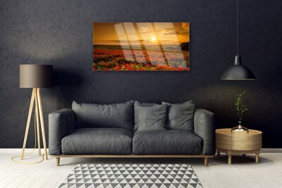 Quadro acrílico Campo de papoulas Sunset Meadow