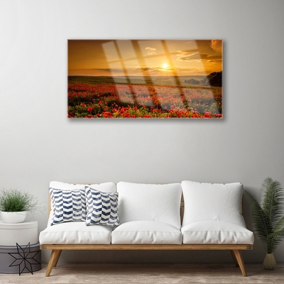 Quadro acrílico Campo de papoulas Sunset Meadow