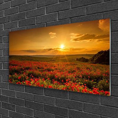 Quadro acrílico Campo de papoulas Sunset Meadow