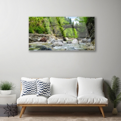 Quadro acrílico Ponte de madeira na floresta