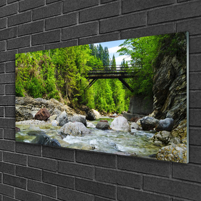 Quadro acrílico Ponte de madeira na floresta