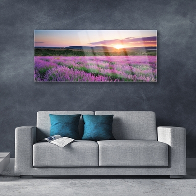 Quadro acrílico Pôr do sol nos campos de lavanda