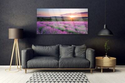 Quadro acrílico Pôr do sol nos campos de lavanda