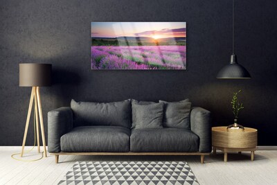 Quadro acrílico Pôr do sol nos campos de lavanda