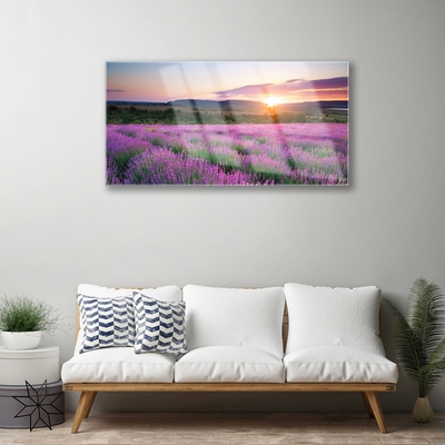 Quadro acrílico Pôr do sol nos campos de lavanda