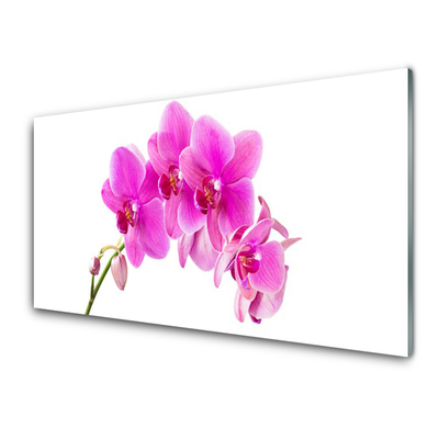 Quadro acrílico Flor de orquídea Orquídea
