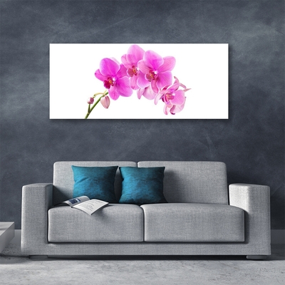 Quadro acrílico Flor de orquídea Orquídea