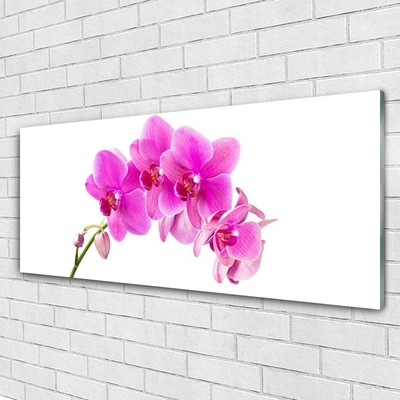 Quadro acrílico Flor de orquídea Orquídea