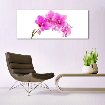 Quadro acrílico Flor de orquídea Orquídea