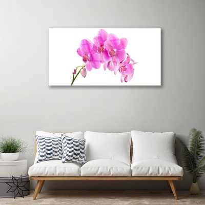 Quadro acrílico Flor de orquídea Orquídea