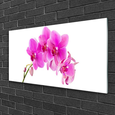 Quadro acrílico Flor de orquídea Orquídea