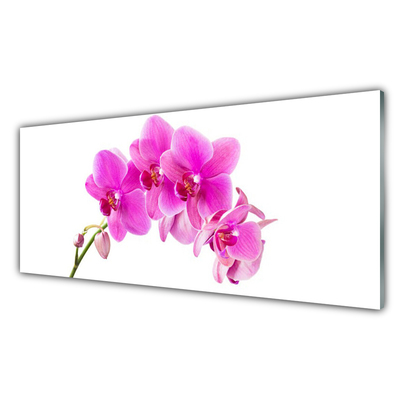 Quadro acrílico Flor de orquídea Orquídea