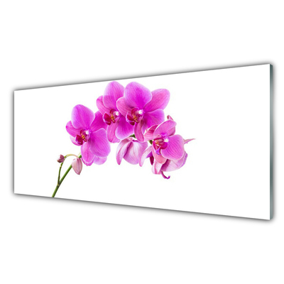 Pintura acrílica Flor de orquídea Orquídea