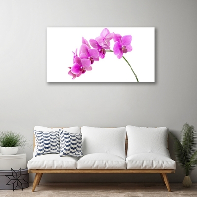 Quadro acrílico Flor de orquídea Orquídea