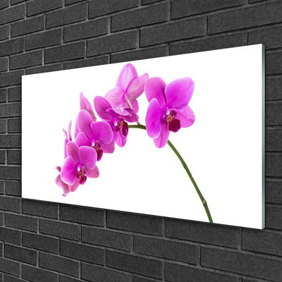Quadro acrílico Flor de orquídea Orquídea