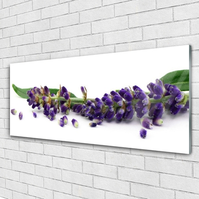 Quadro acrílico Natureza morta de lavanda