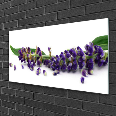 Quadro acrílico Natureza morta de lavanda