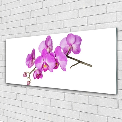 Quadro acrílico Orquídea Flores de Orquídea