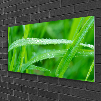Quadro acrílico Folhas Gotas de Orvalho Natureza