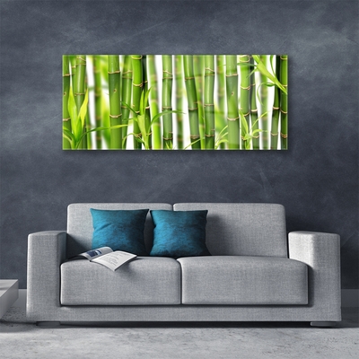 Quadro acrílico Brotos de bambu Folhas de bambu