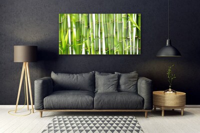 Quadro acrílico Brotos de bambu Folhas de bambu