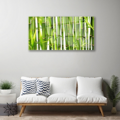 Quadro acrílico Brotos de bambu Folhas de bambu