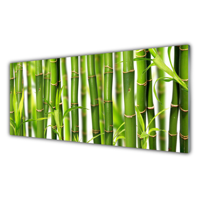 Quadro acrílico Brotos de bambu Folhas de bambu