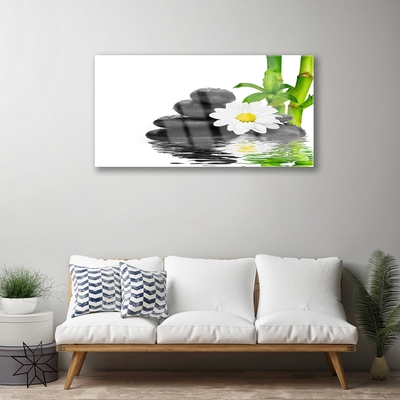 Quadro acrílico Pedras Zen Brotos de Bambu